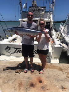 Wahoo madness off Falmouth’s coast! 